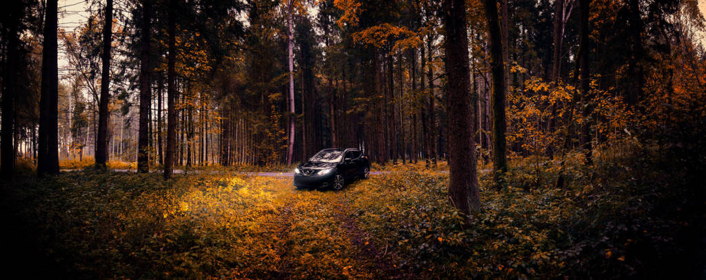 Φωτογράφιση του Nissan Qashqai στα δάση της Αυστρίας