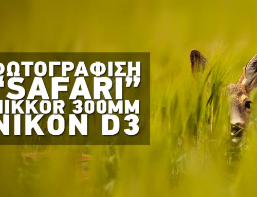 Φωτογράφιση “Safari” με τη Nikon D3!