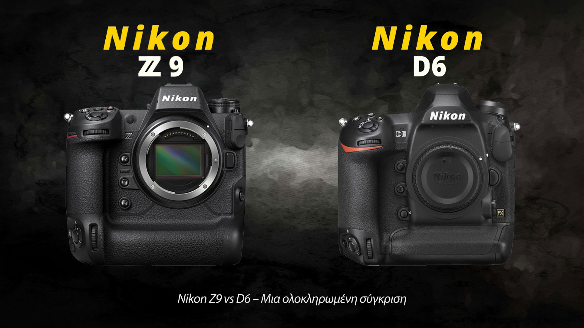 Nikon Z9 vs D6